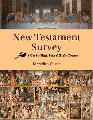 New Testament Survey Class