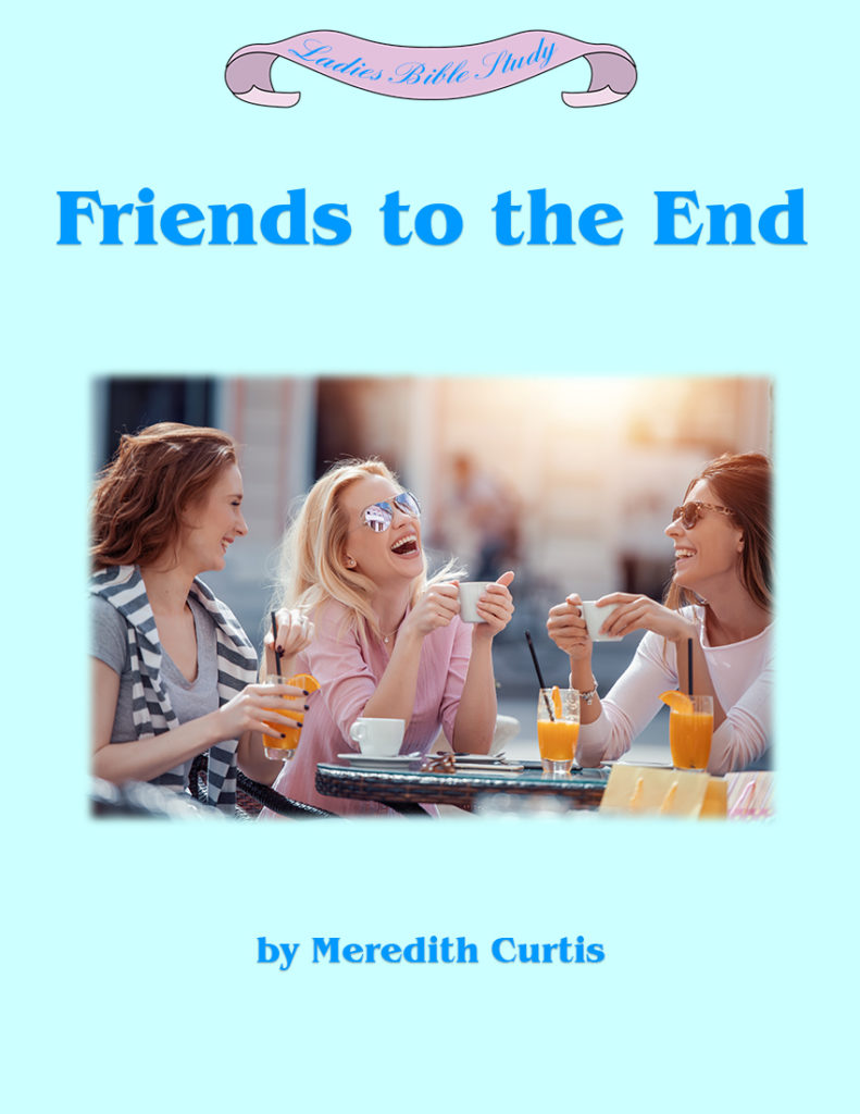 Friends to the End by Meredith Curtis