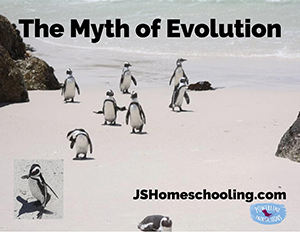 The Myth of Evolution