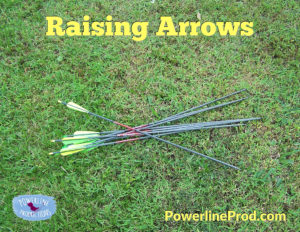 Raising Arrows