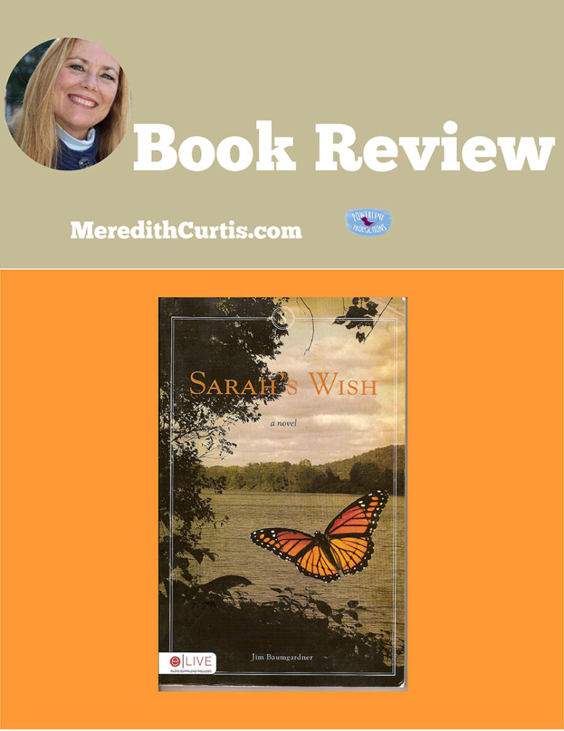 Sarah's Wish Book Review