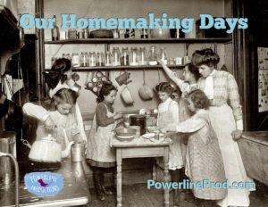 Our Homemaking Days