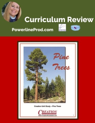 Homeschool Curriculum Review of Pine Trees Unit Study from Creation Illustrated